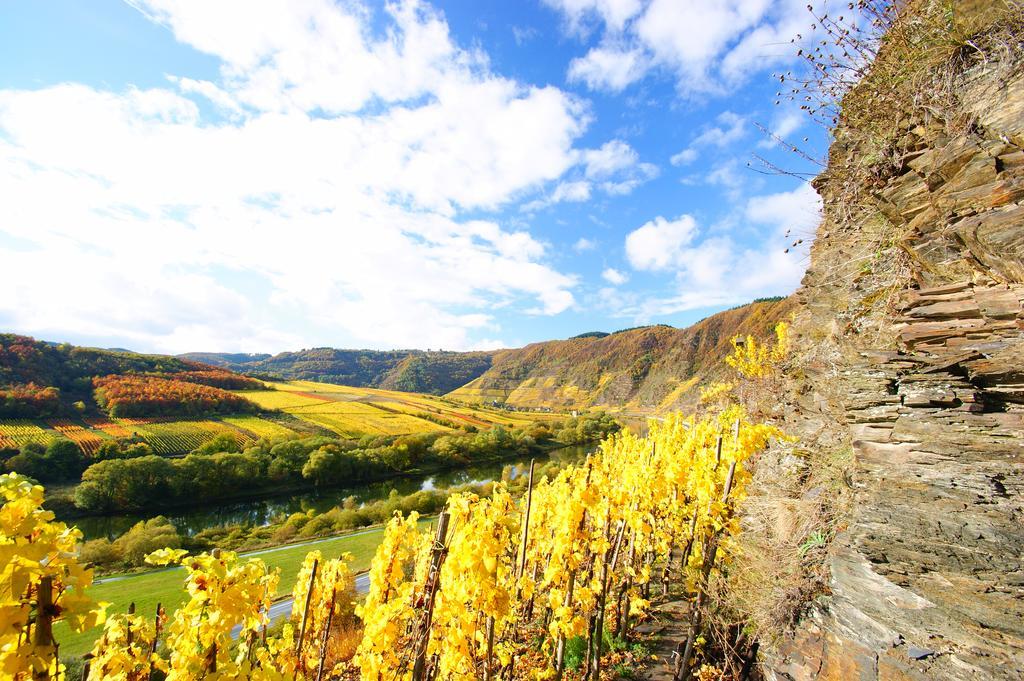 Bertricher Hof Garni